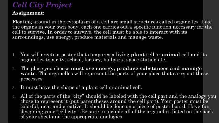 cell city project assignment