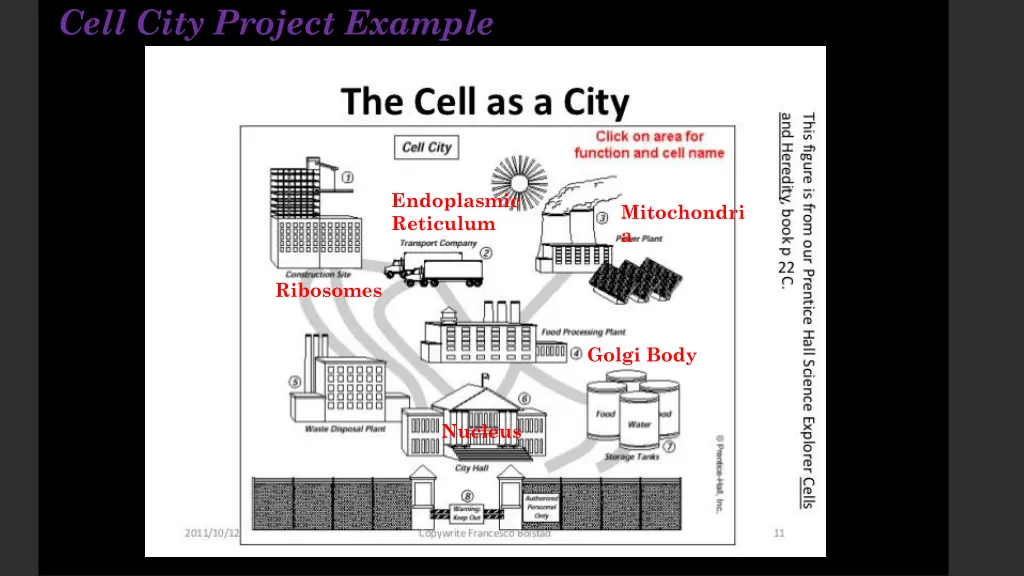 cell city project example 3