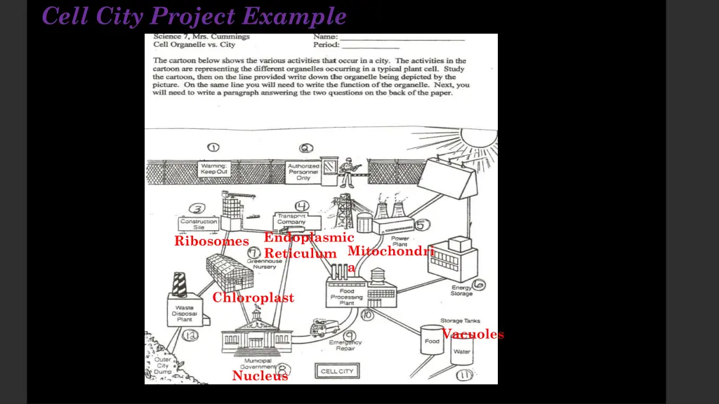 cell city project example 4