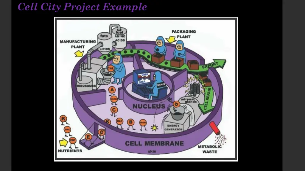 cell city project example