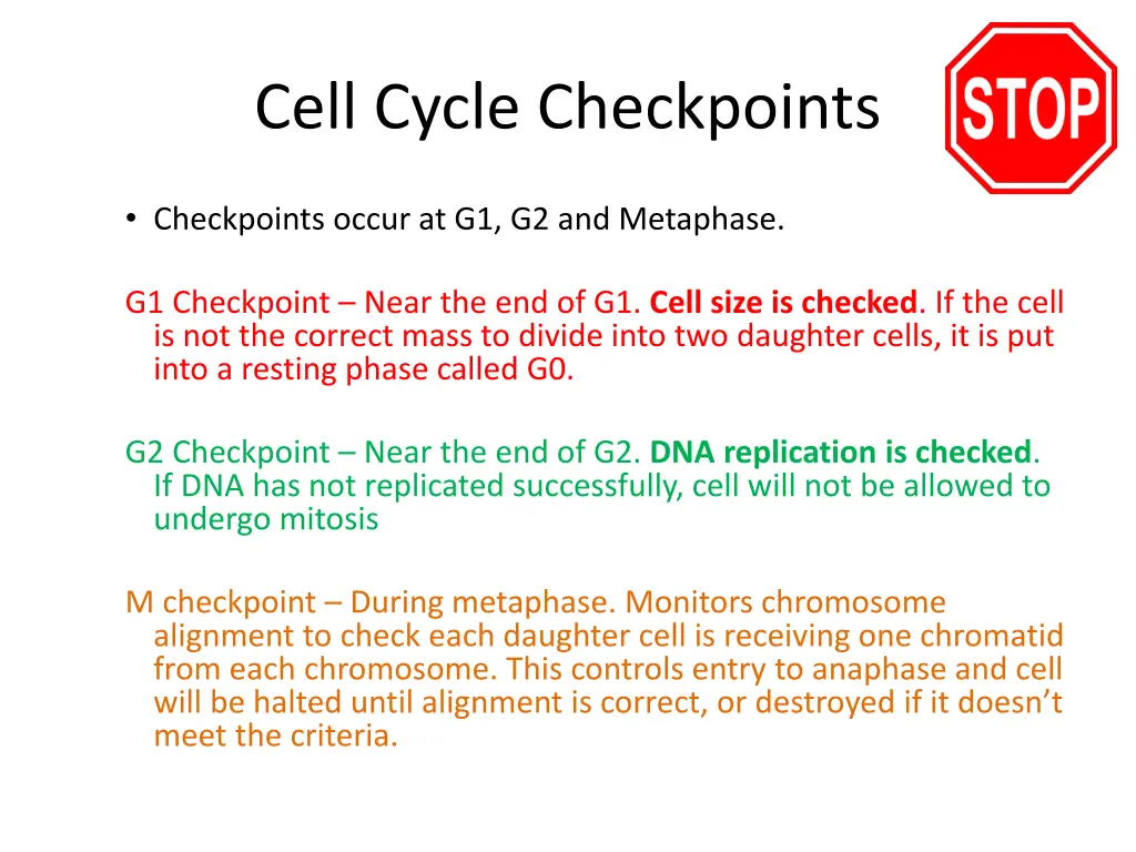 cell cycle checkpoints 1