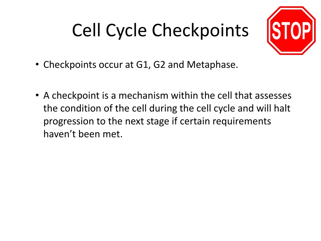 cell cycle checkpoints