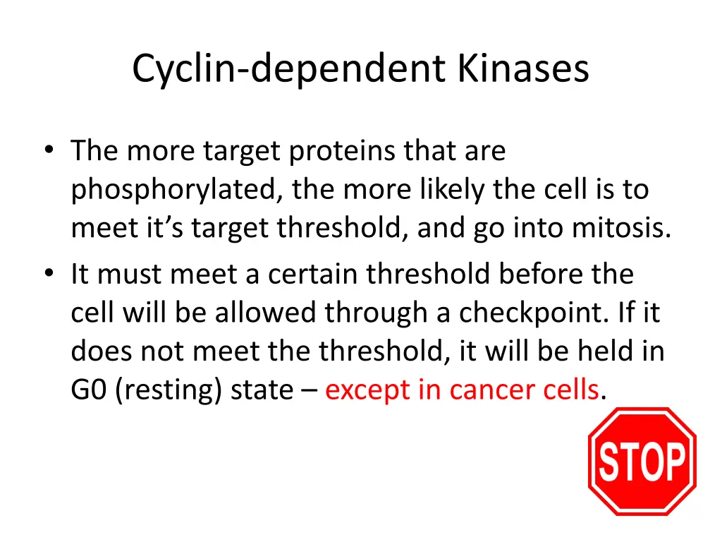 cyclin dependent kinases 1