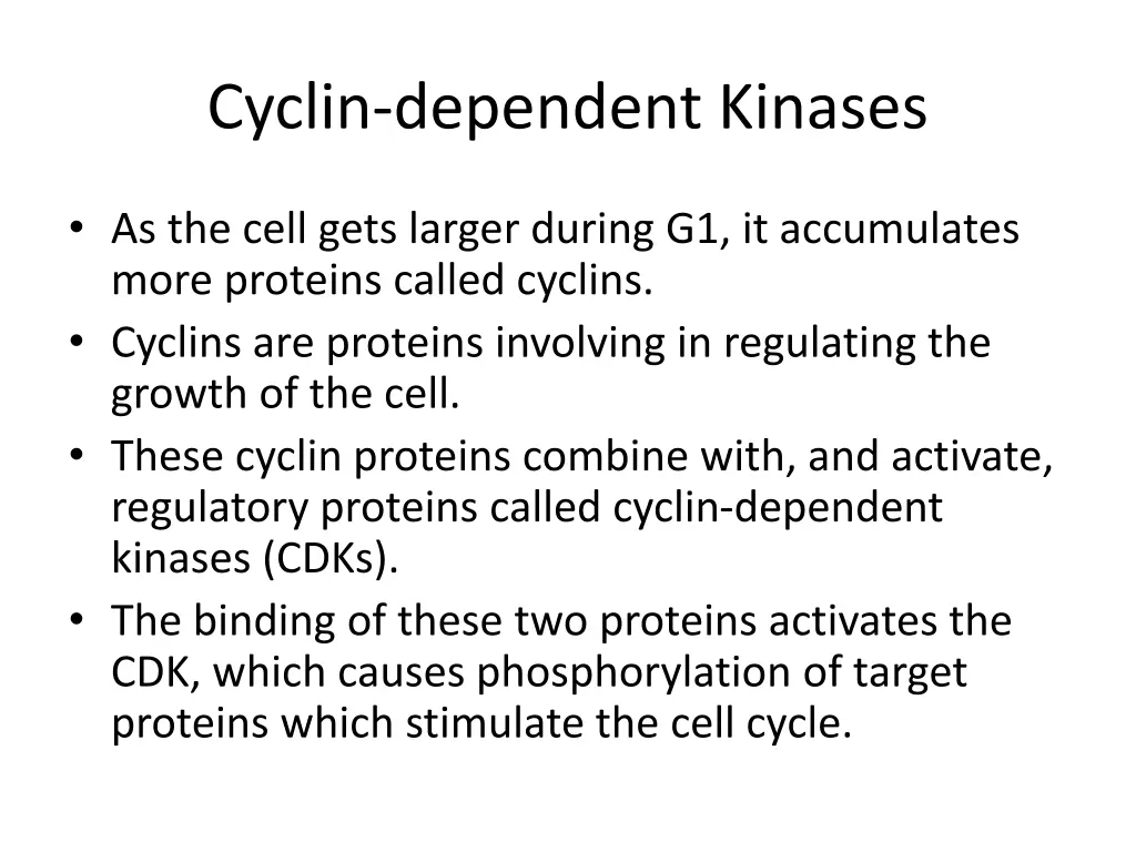 cyclin dependent kinases