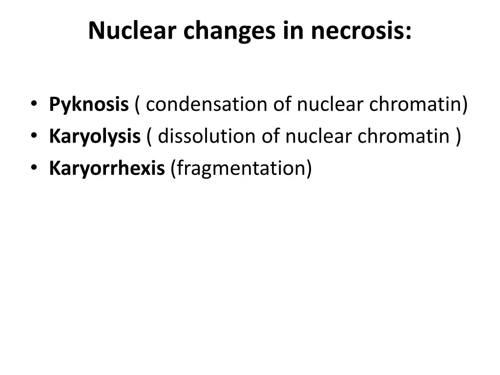 nuclear changes in necrosis