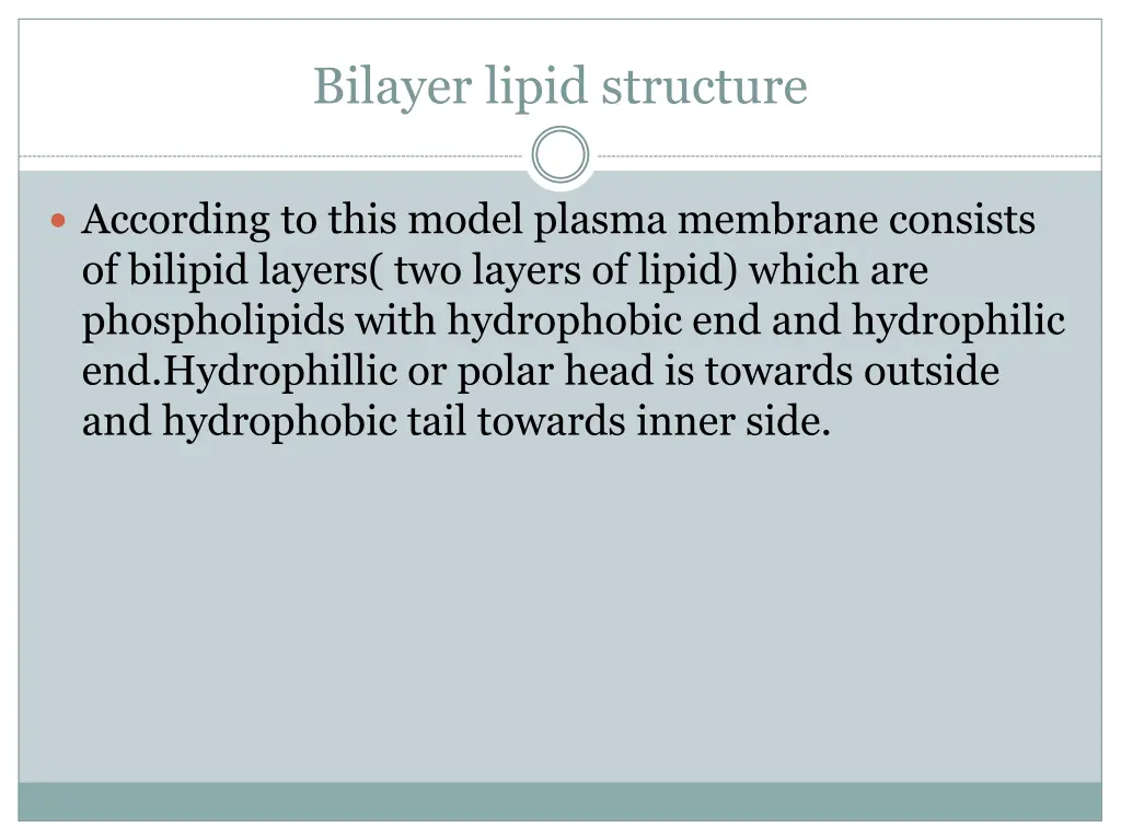 bilayer lipid structure