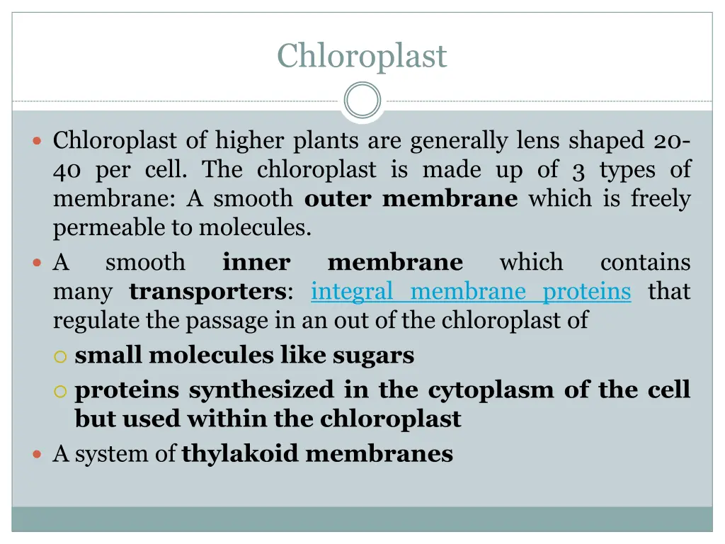 chloroplast 1