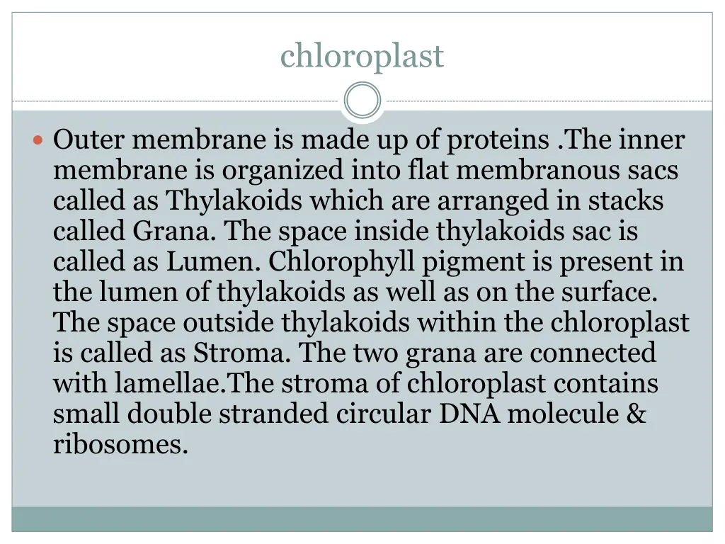 chloroplast 2