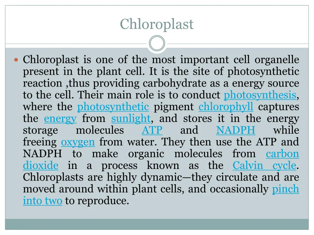 chloroplast