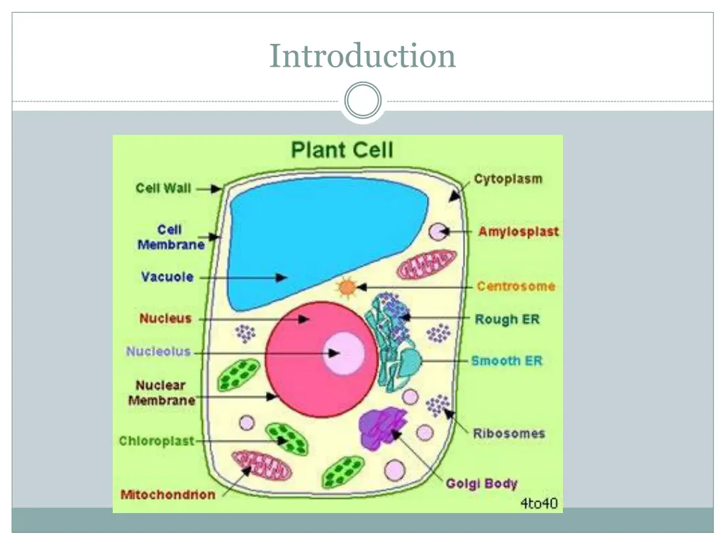 introduction