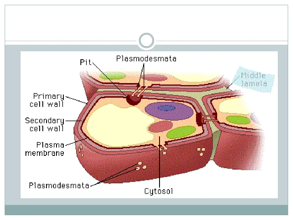 slide9