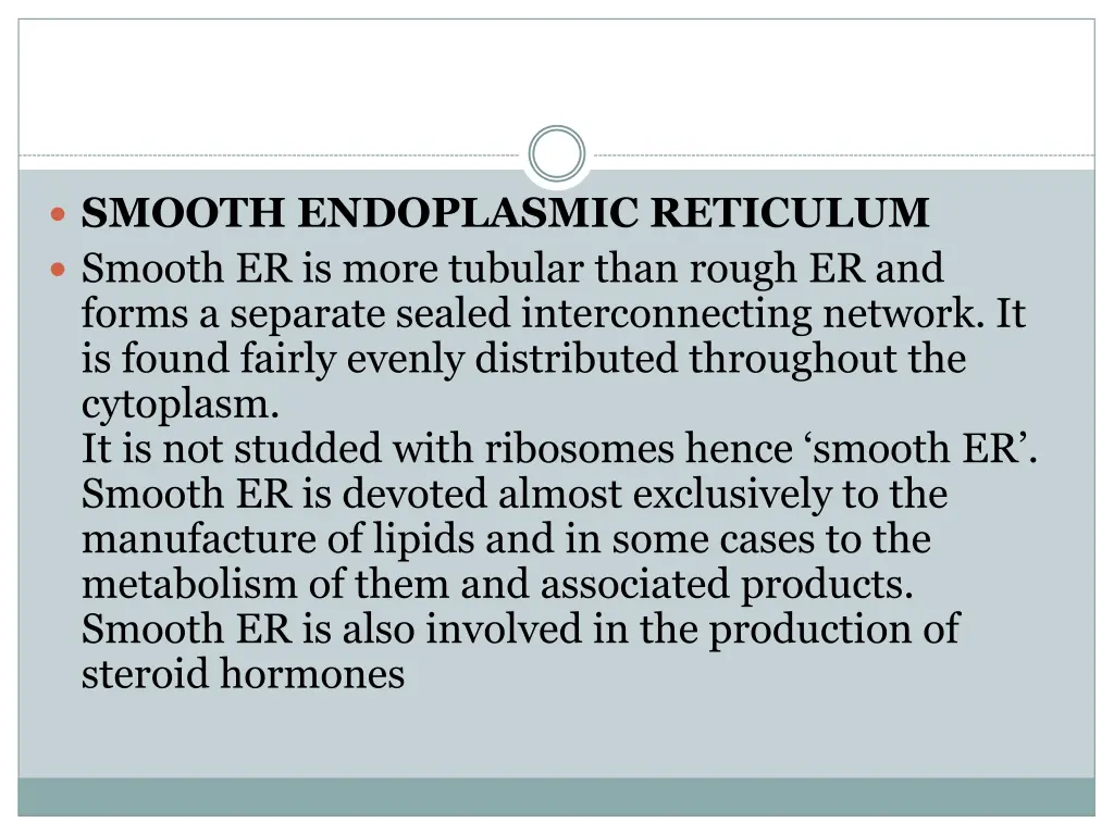 smooth endoplasmic reticulum smooth er is more