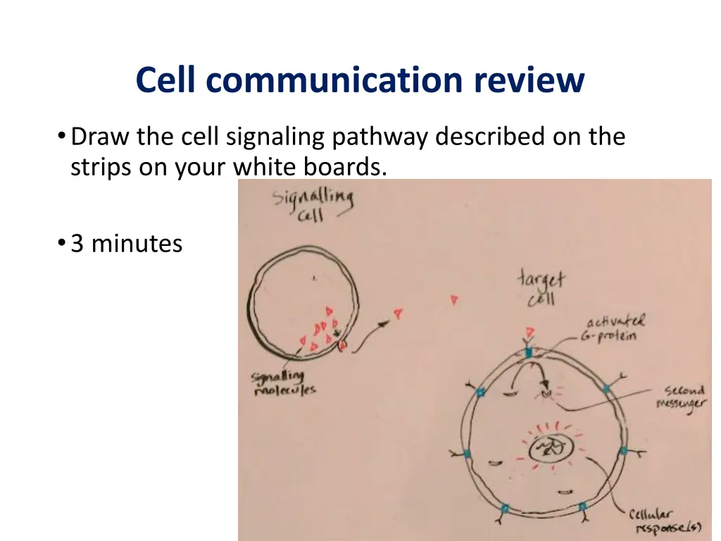 cell communication review 1