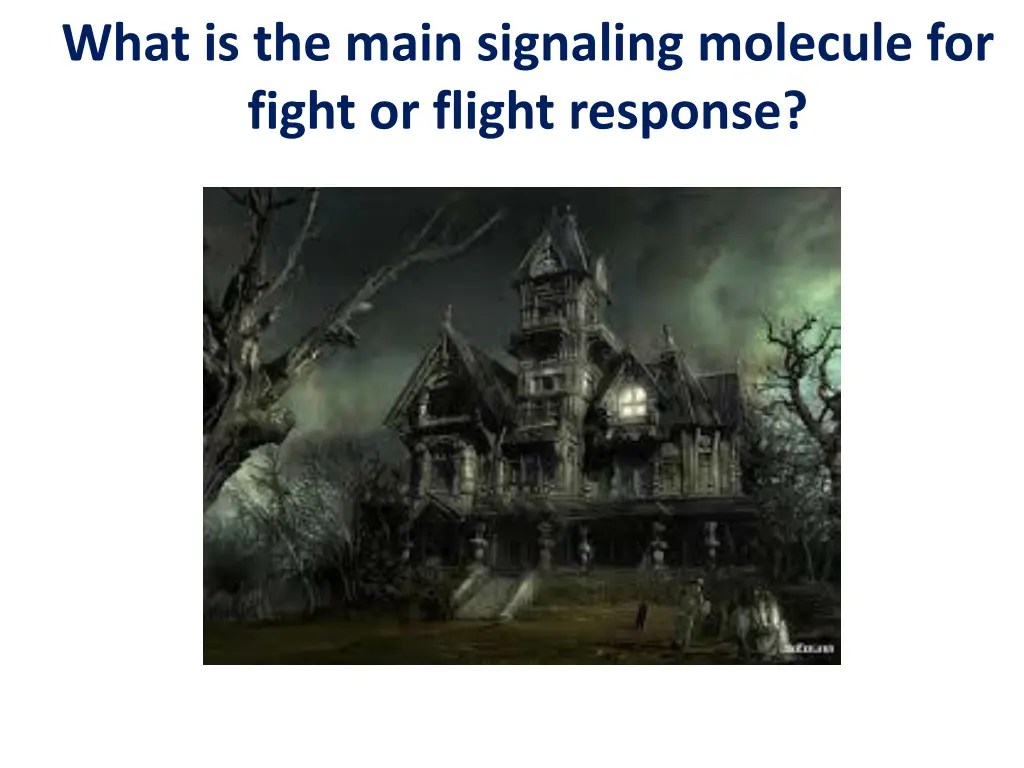 what is the main signaling molecule for fight