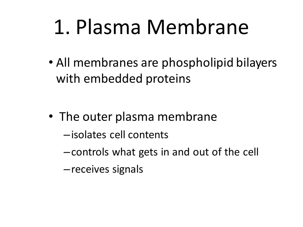 1 plasma membrane