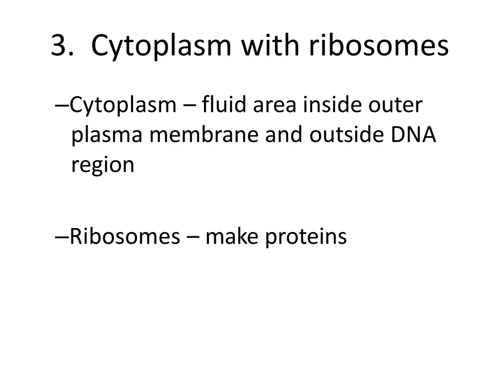 3 cytoplasm with ribosomes