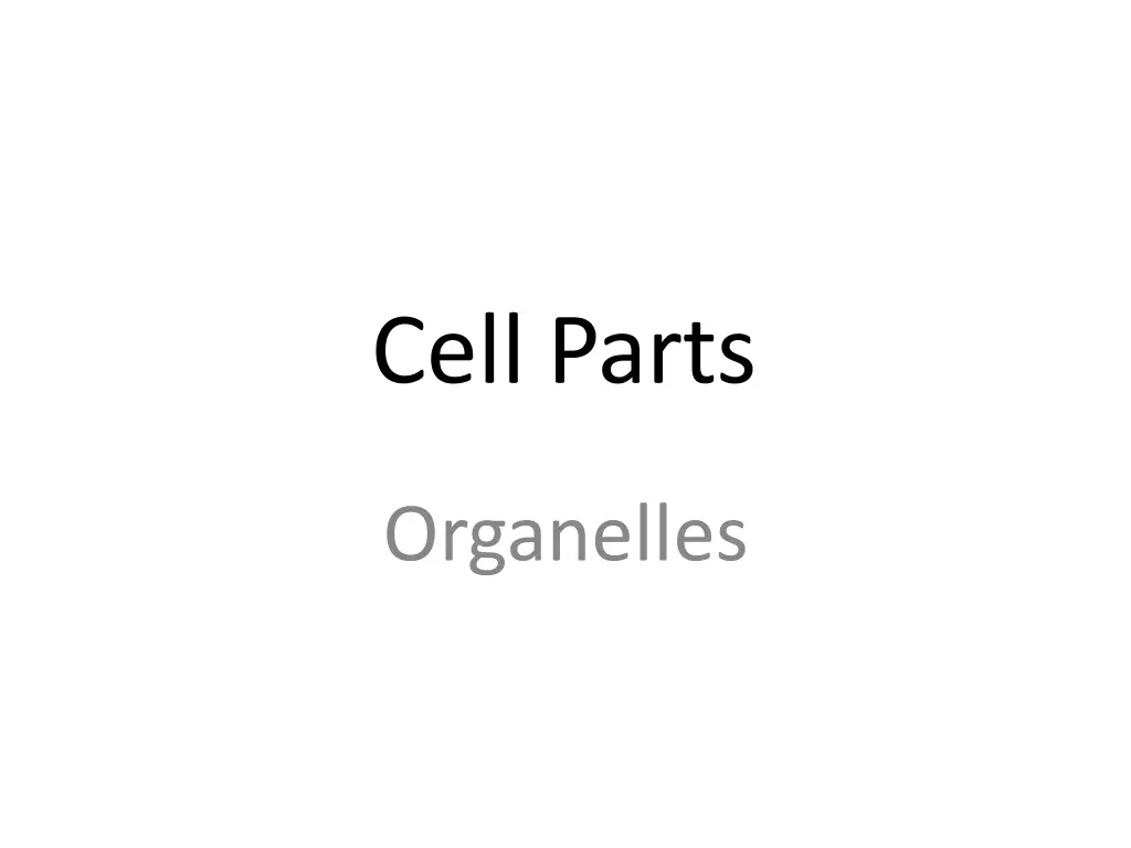 cell parts