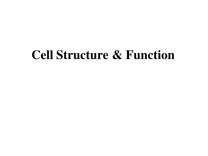 cell structure function