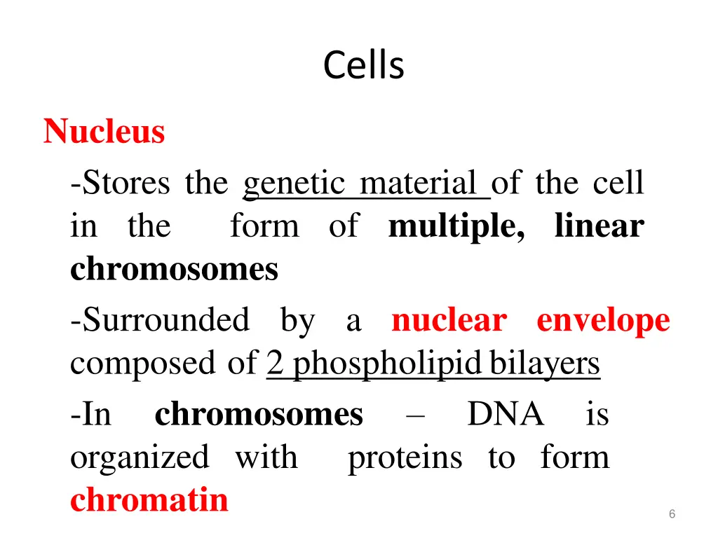 cells 1