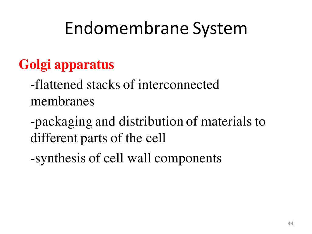 endomembranesystem 4