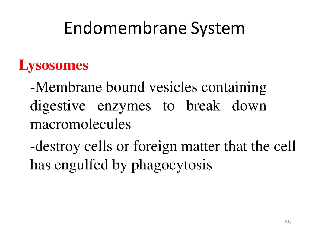 endomembranesystem 5