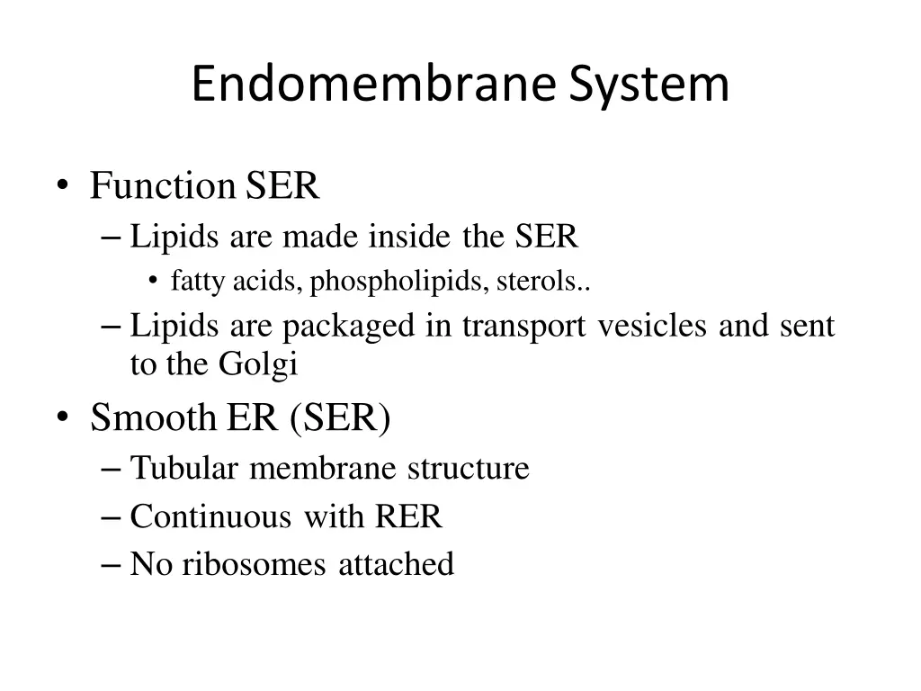 endomembranesystem