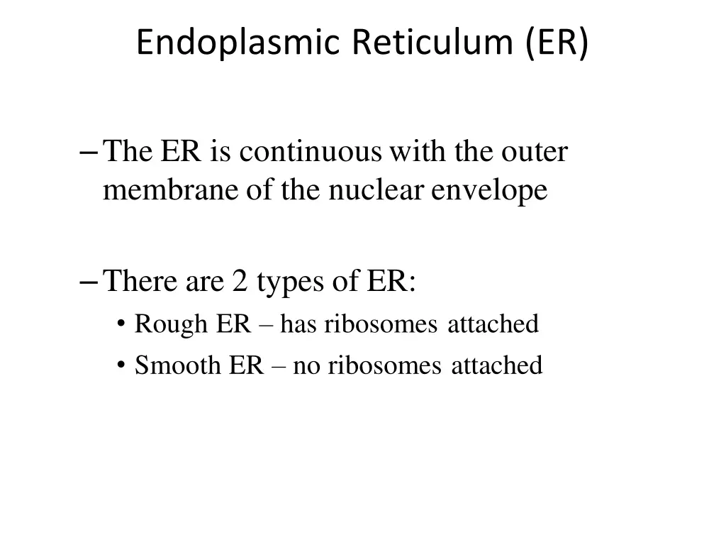 endoplasmic reticulum er