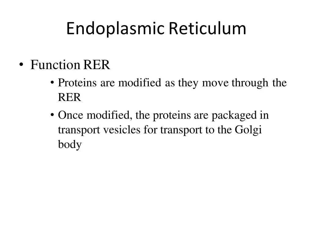 endoplasmicreticulum