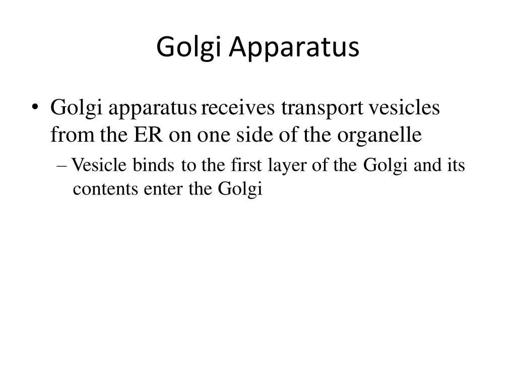 golgi apparatus 1