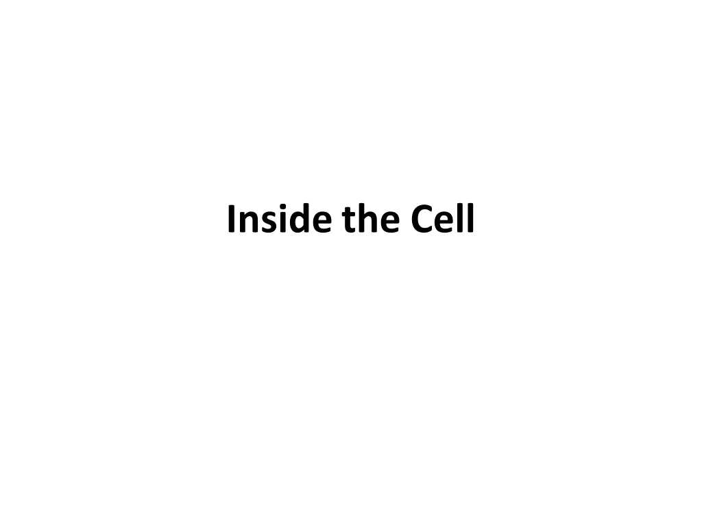 insidethe cell