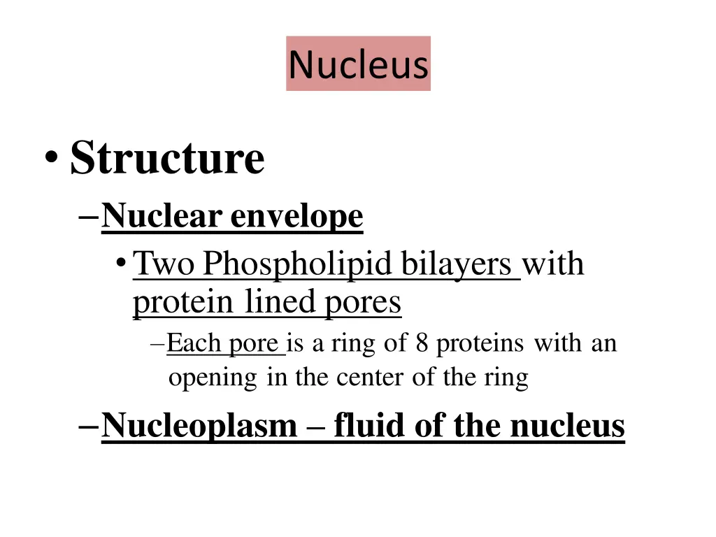 nucleus 2