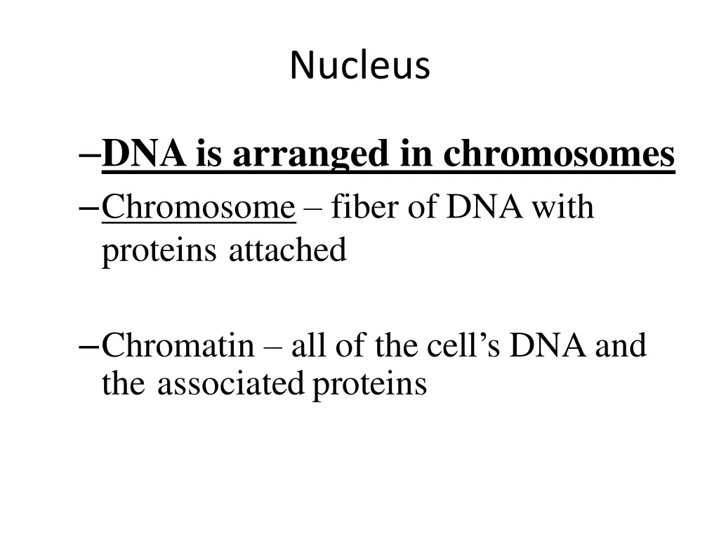 nucleus 3