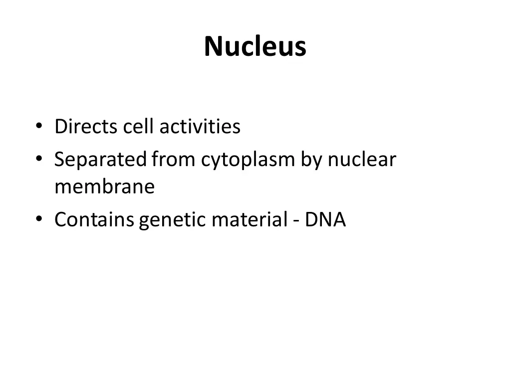 nucleus