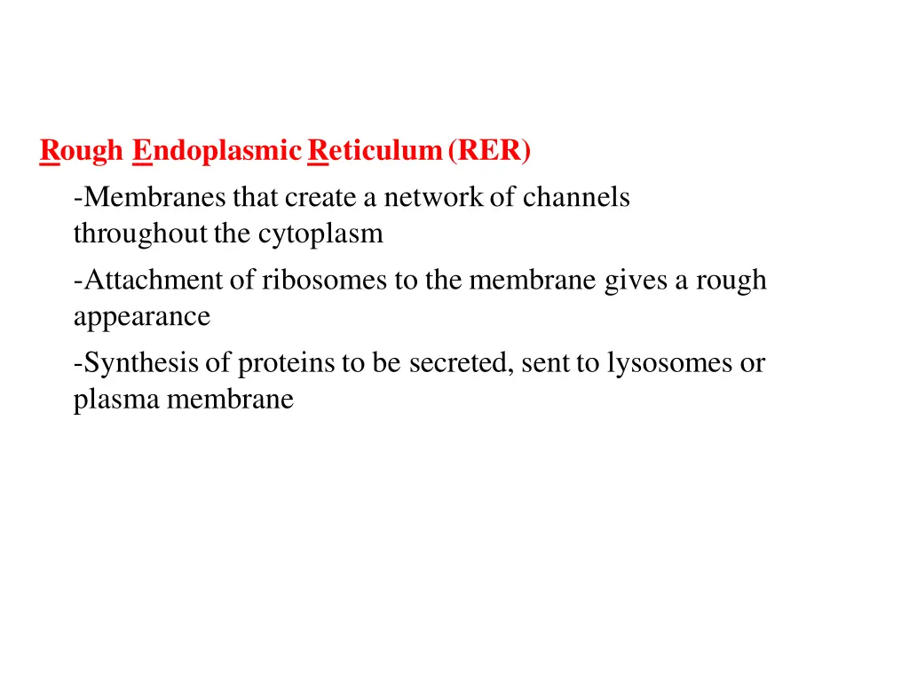 rough endoplasmic reticulum rer membranes that