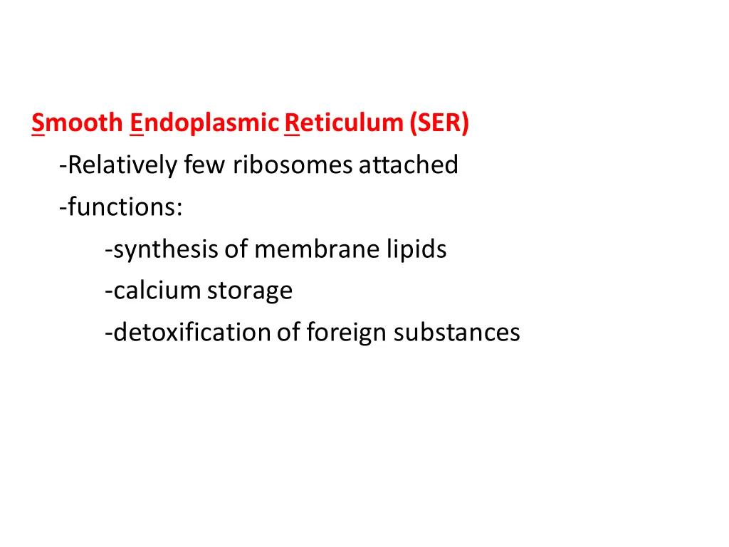 smooth endoplasmic reticulum ser relatively