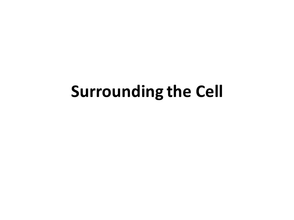 surroundingthe cell