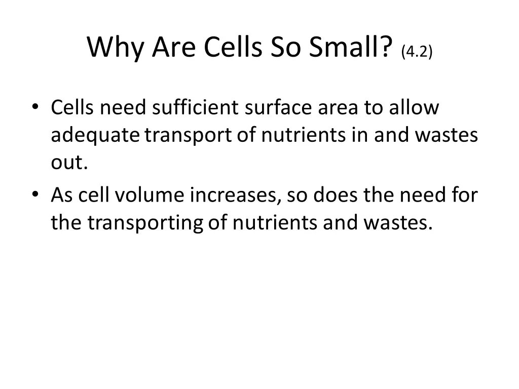 why are cells so small 4 2