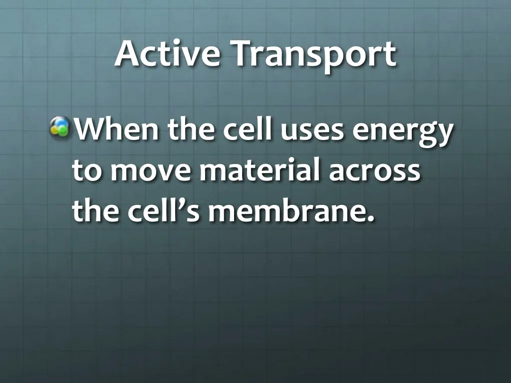 active transport