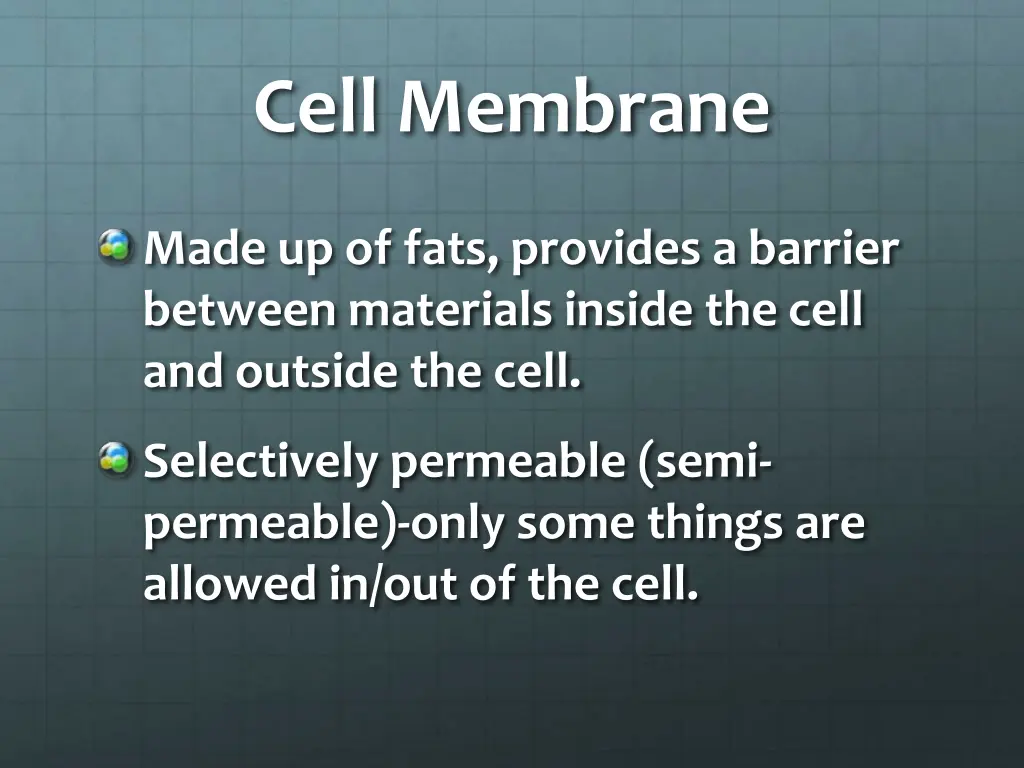 cell membrane 1