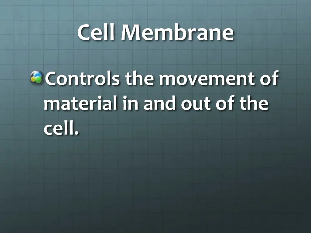 cell membrane