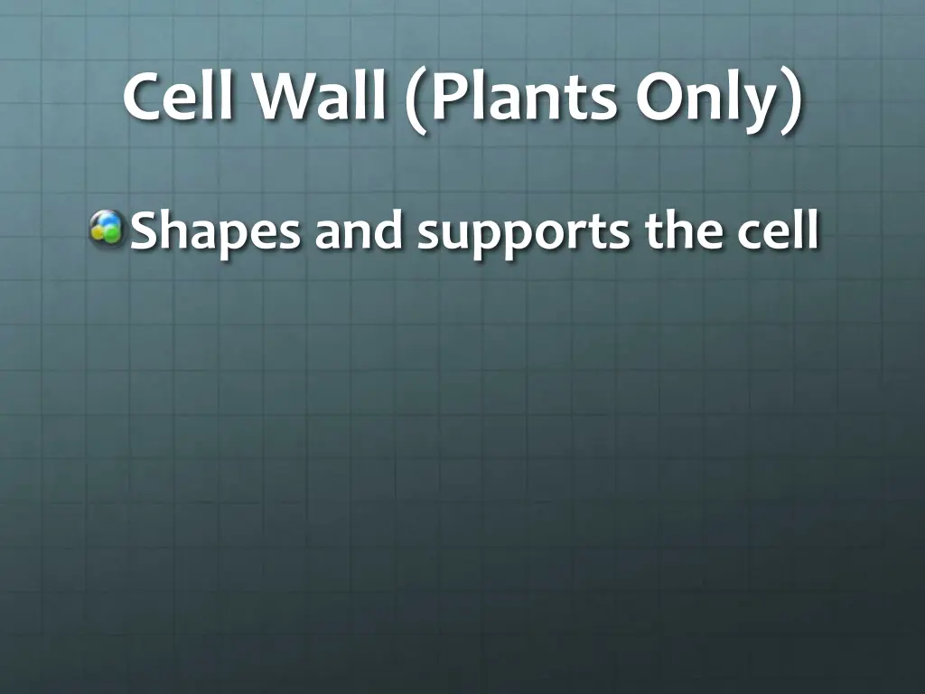 cell wall plants only