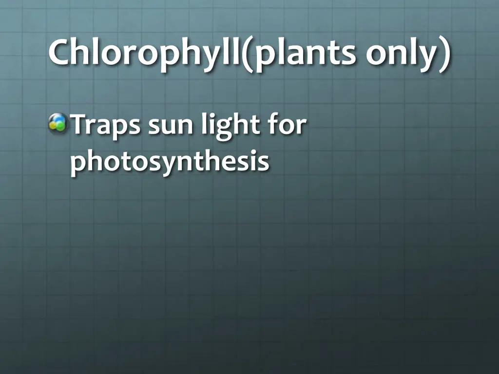 chlorophyll plants only