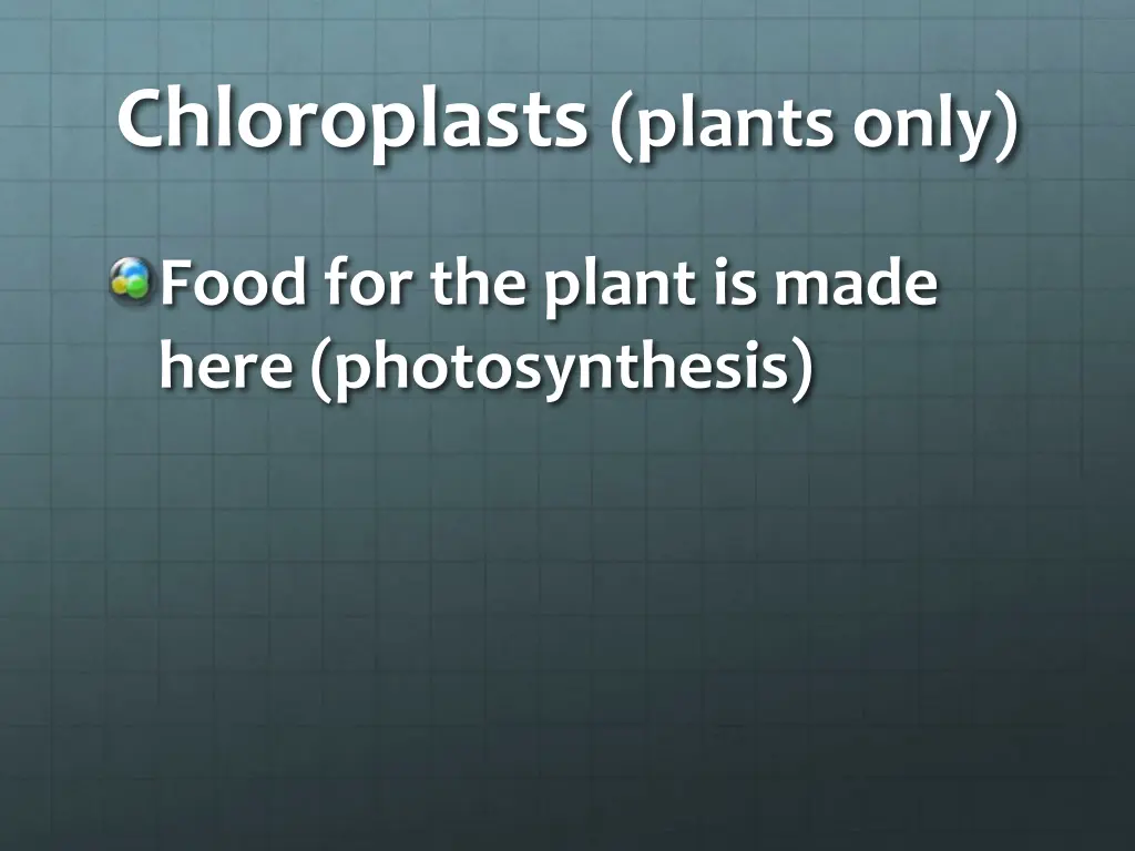 chloroplasts plants only