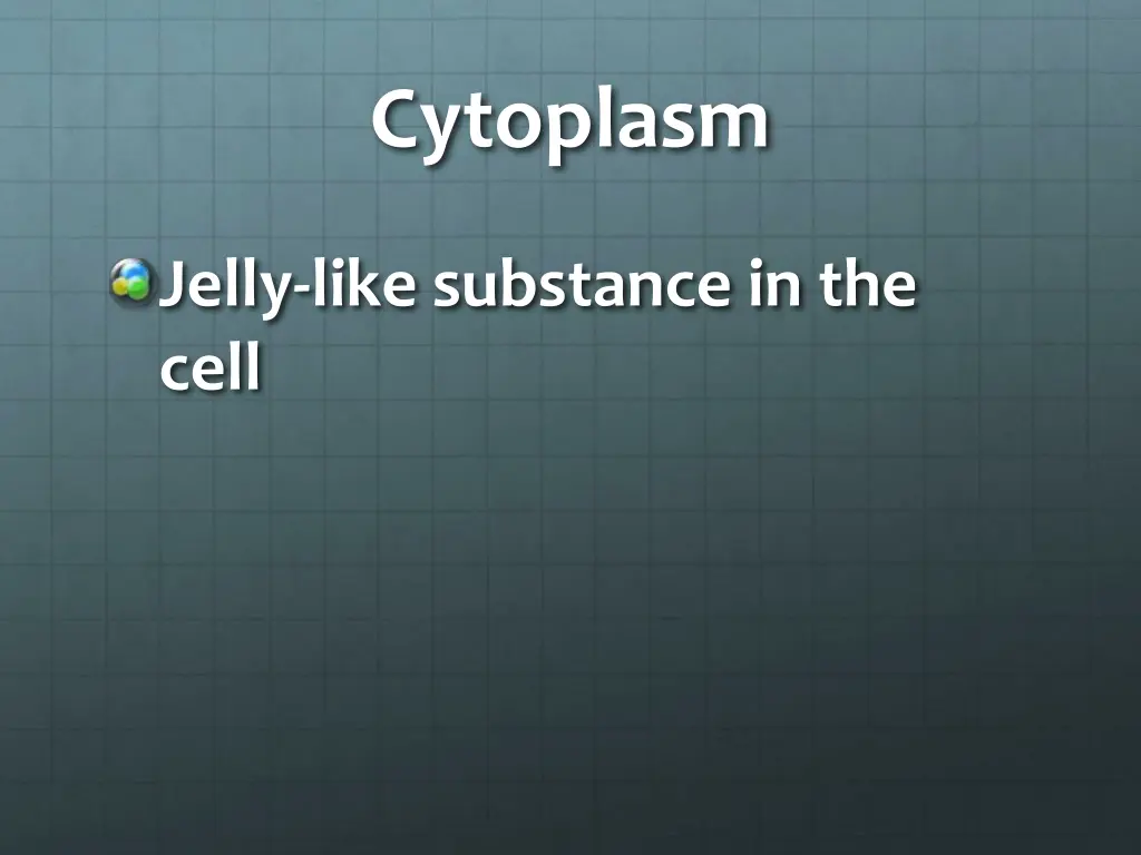 cytoplasm