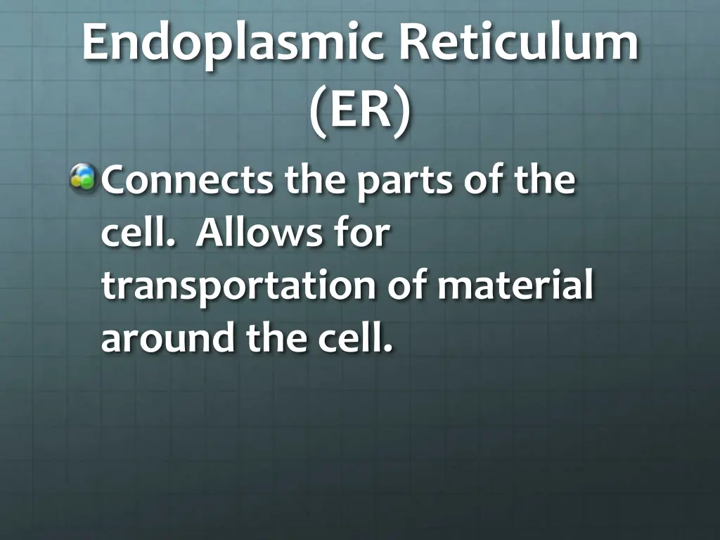 endoplasmic reticulum er connects the parts