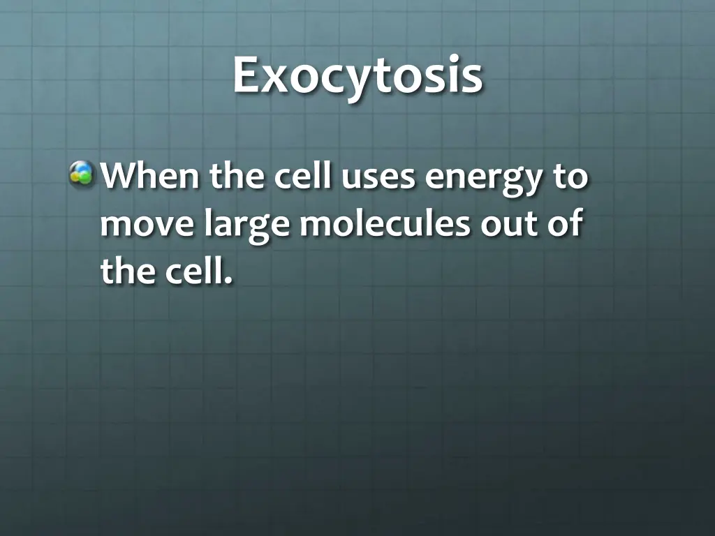 exocytosis