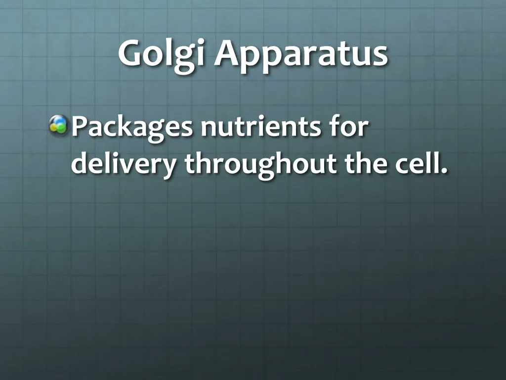 golgi apparatus