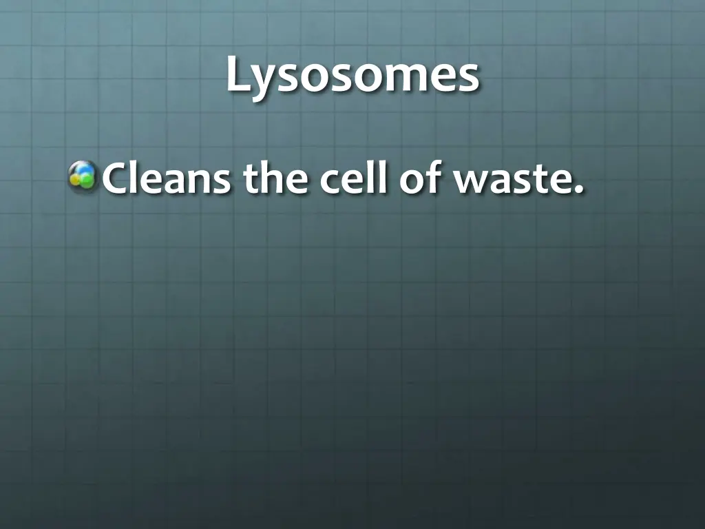 lysosomes