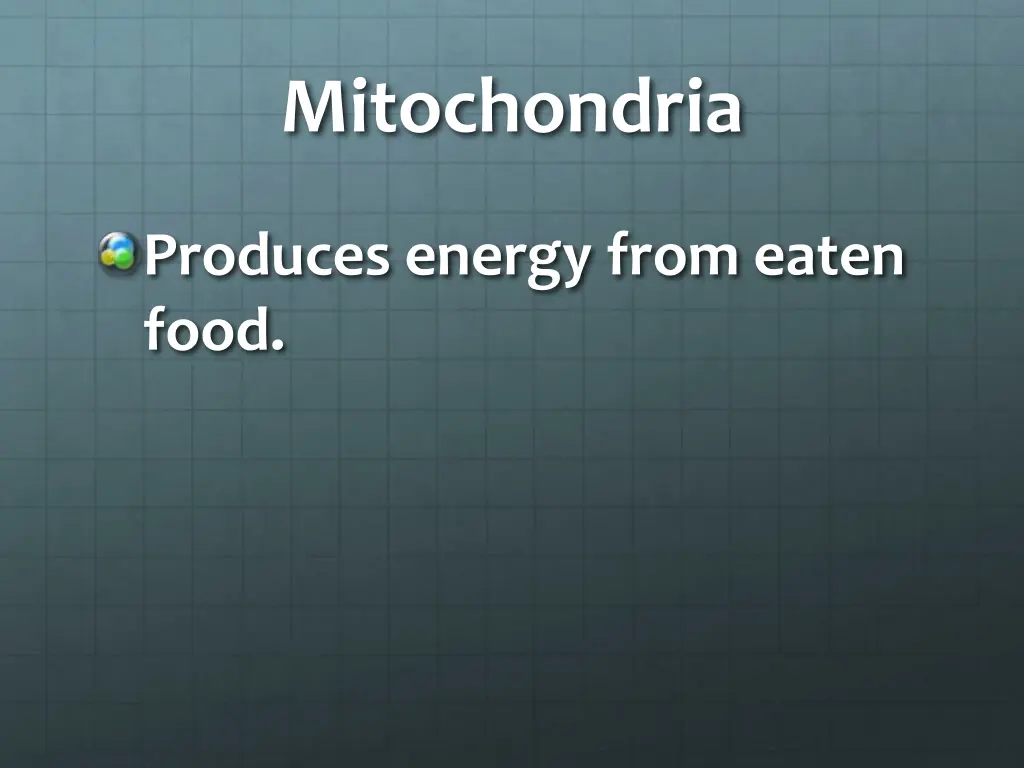 mitochondria