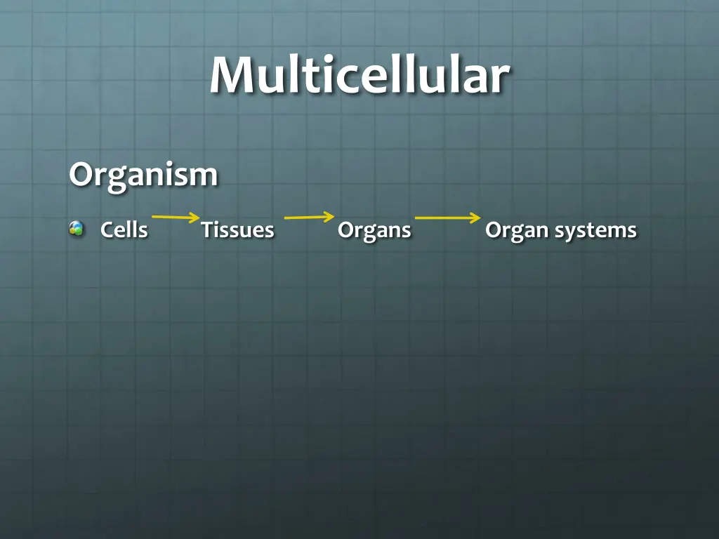 multicellular